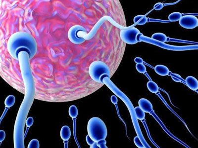 Συχνές ερωτήσεις για την ανδρική γονιμότητα